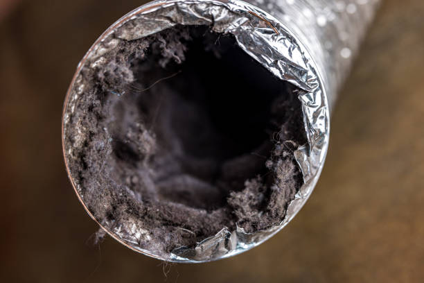 Best Affordable Air Duct Cleaning  in Fox Crossing, WI